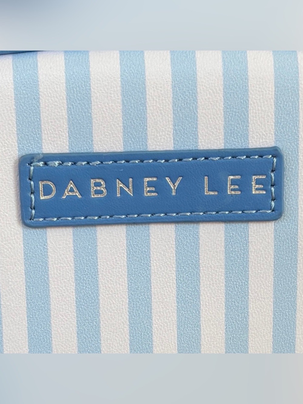 DABNEY LEE Makeup Case Lemon Stripe - Picture 10 of 12